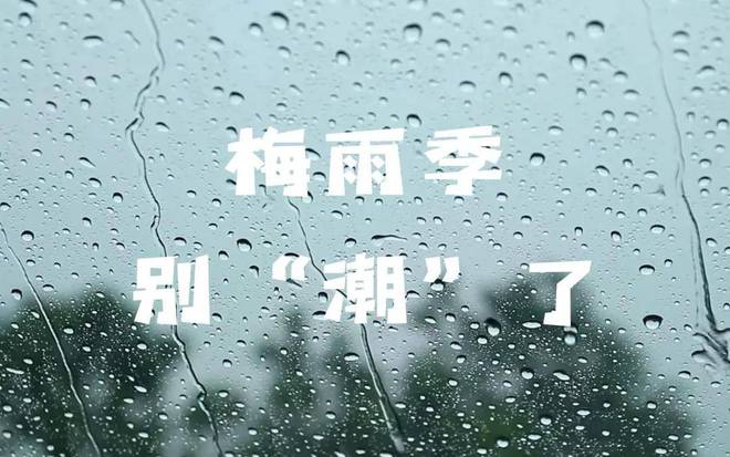 日“入梅”：茶叶这样放才不会“发霉”！AG真人游戏2024年上海茶博会丨今(图4)